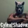 CylentShadow